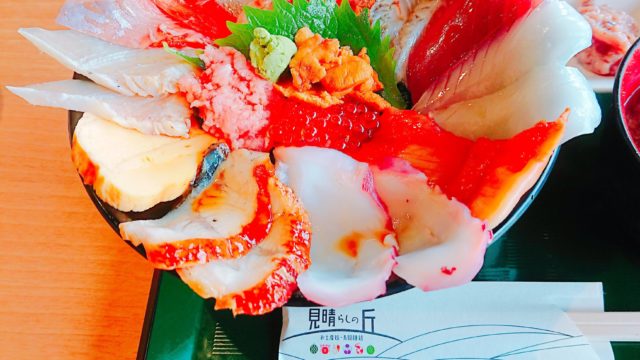 砂丘海鮮丼