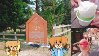 「ミルク工房そら」の看板