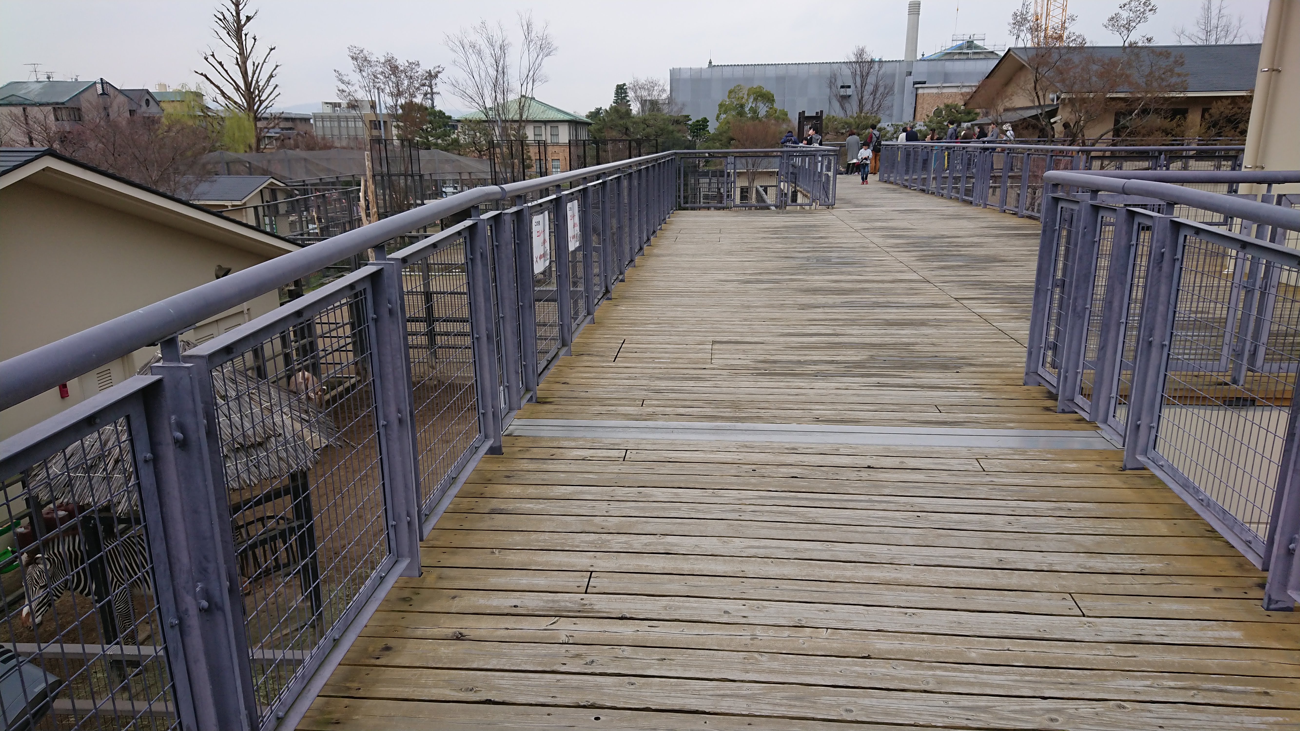 「京都市動物園」の2階の歩道