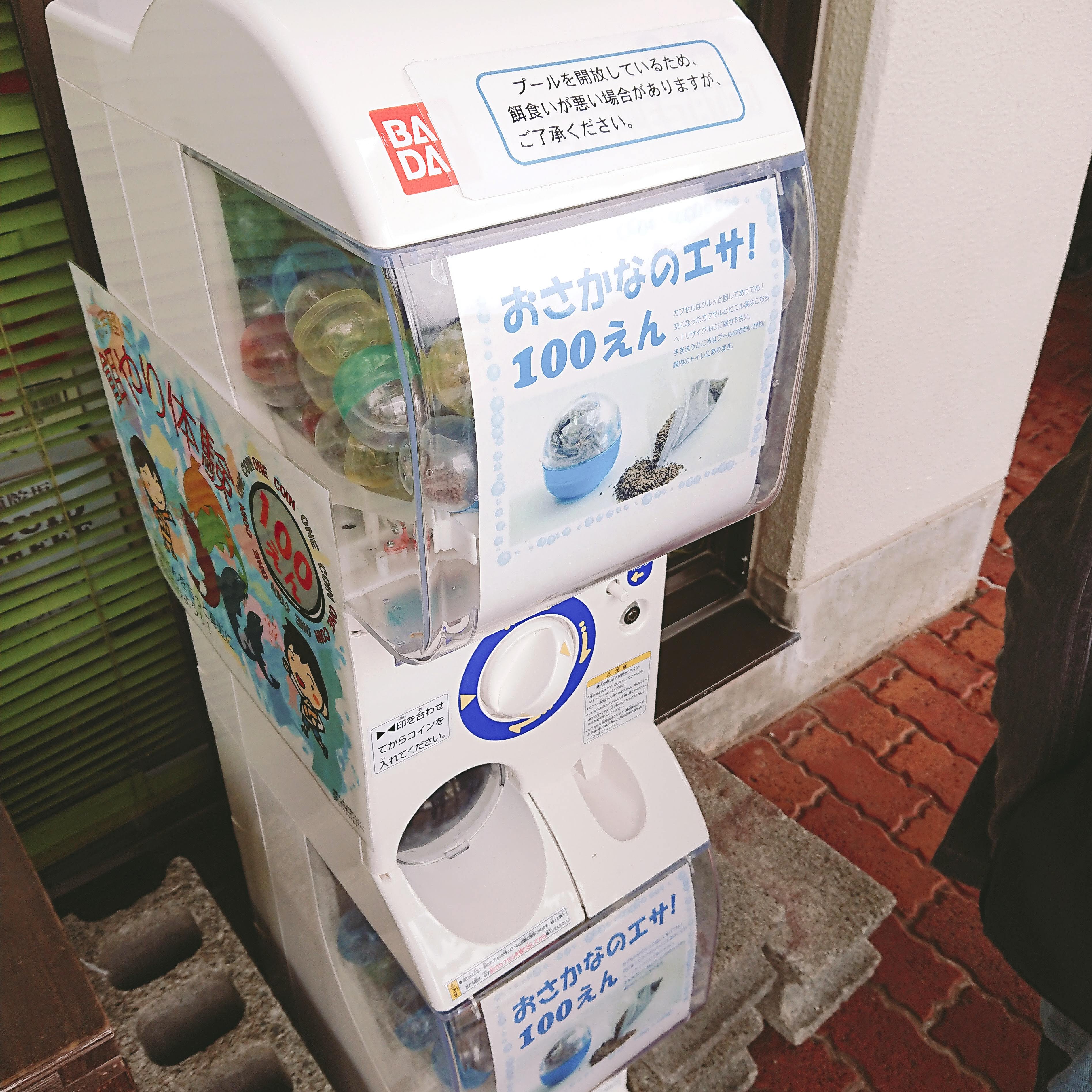 「魚っ知館」のお魚のエサ