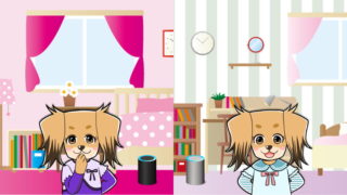 Amazon Echo で通話する姉妹