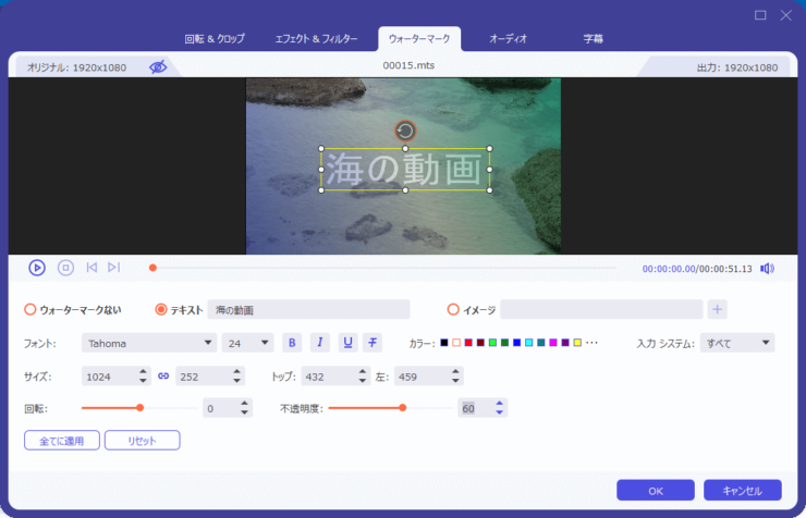 「Aiseesoft 動画変換 究極」動画編集画面「ウォーターマーク」